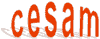 CESAM  International