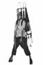 Image en grand (28 K)